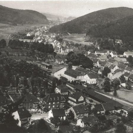 DIE Mansarde ! Saarbrücken Dış mekan fotoğraf